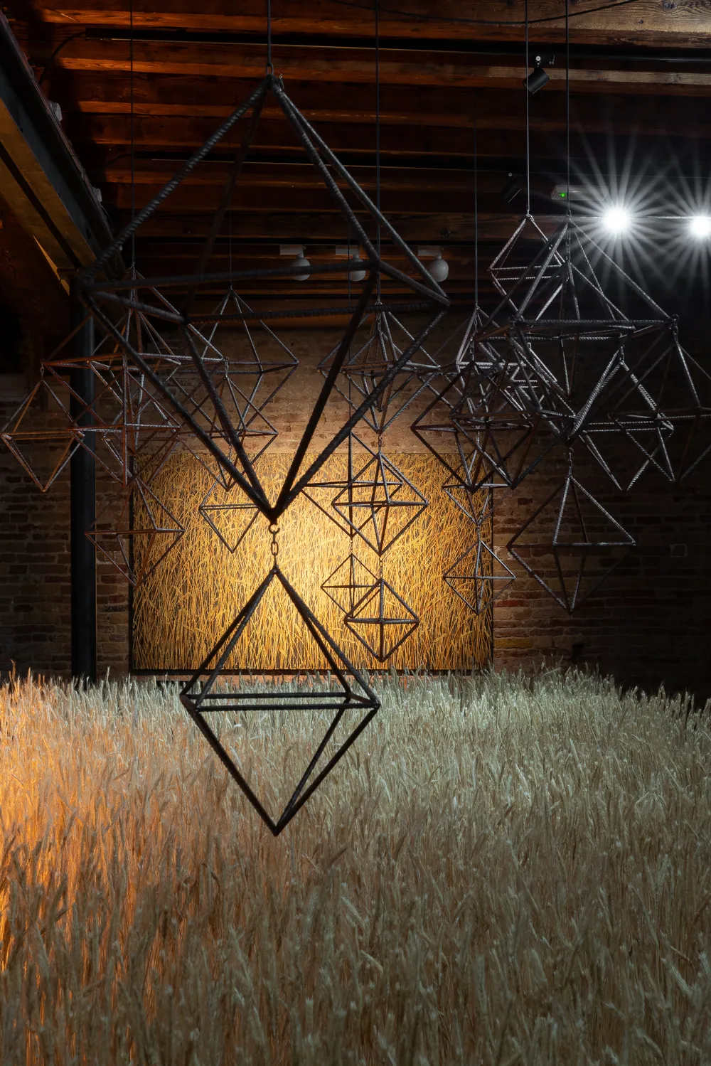 Wheat Field (Пшанічнае поле) — Curatorial Decision